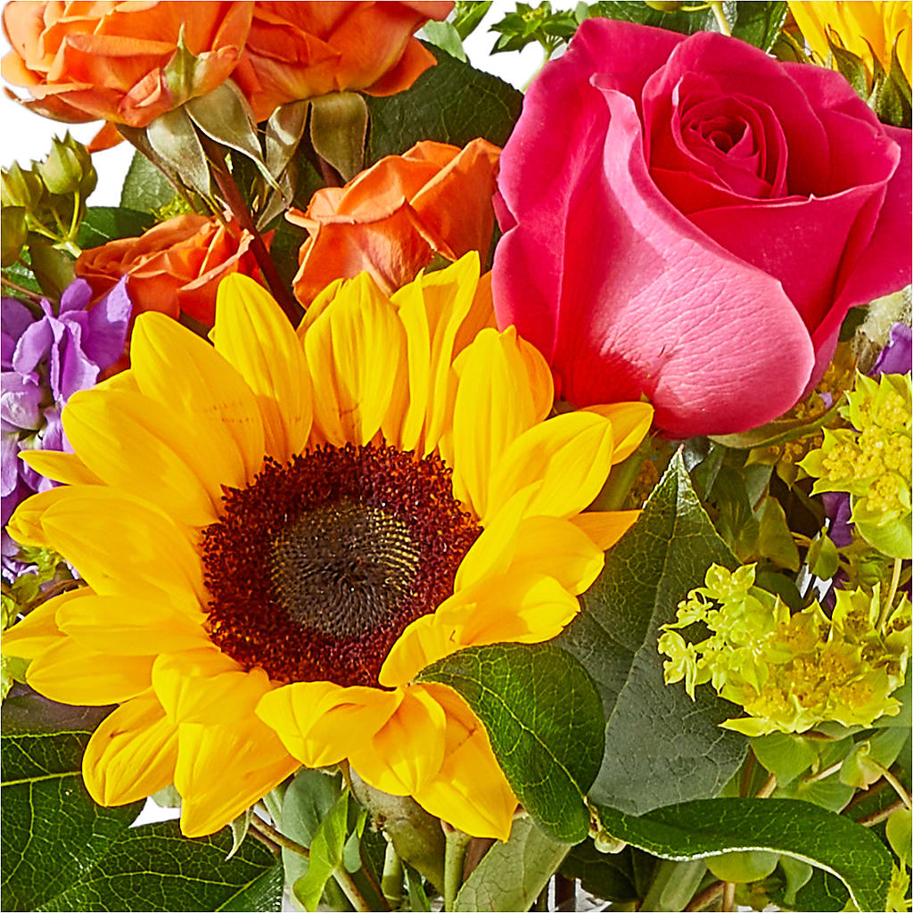 Vibrant Greetings Bouquet – BAYSORE'S FLOWER SHOP LLC, Mason OH