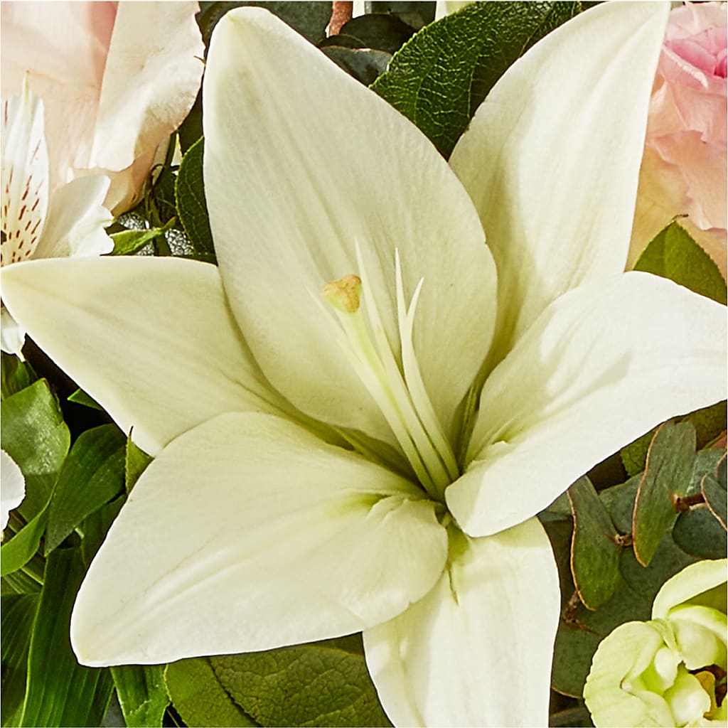 Ballet Slippers Bouquet – BAYSORE'S FLOWER SHOP LLC, Mason OH