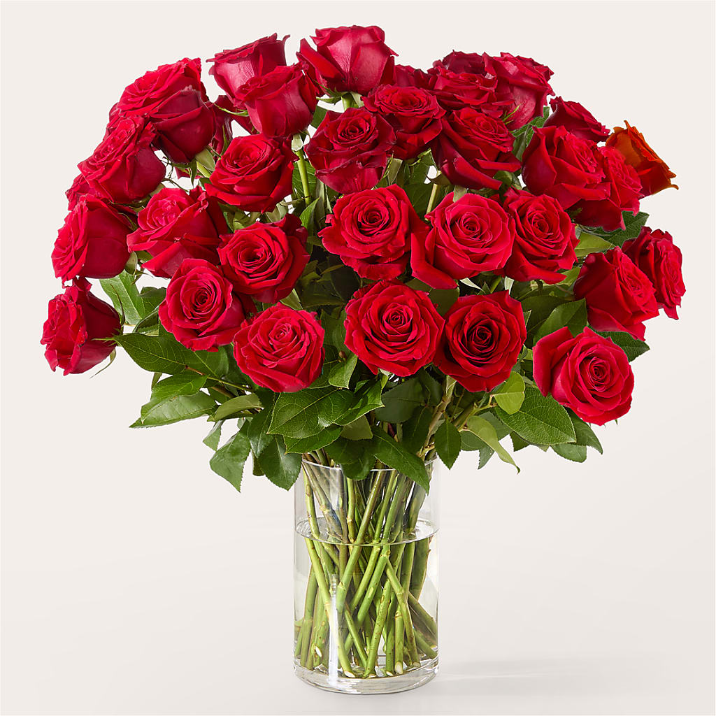 The One Red Rose Bouquet – BAYSORE'S FLOWER SHOP LLC, Mason OH