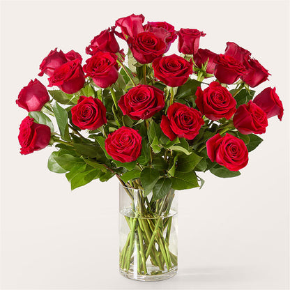 The One Red Rose Bouquet – BAYSORE'S FLOWER SHOP LLC, Mason OH
