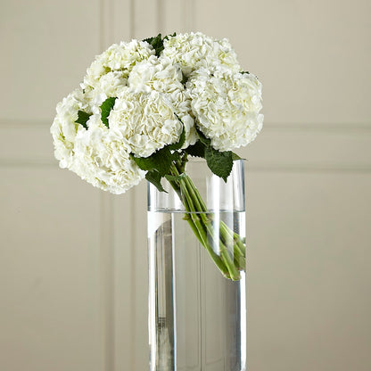 White Hydrangea Hand-Tied Bouquet – BAYSORE'S FLOWER SHOP LLC, Mason OH