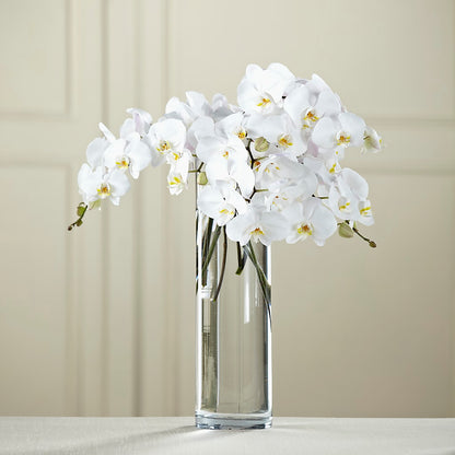 White Phalaenopsis Bouquet – BAYSORE'S FLOWER SHOP LLC, Mason OH