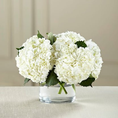 White Hydrangea Bouquet – BAYSORE'S FLOWER SHOP LLC, Mason OH